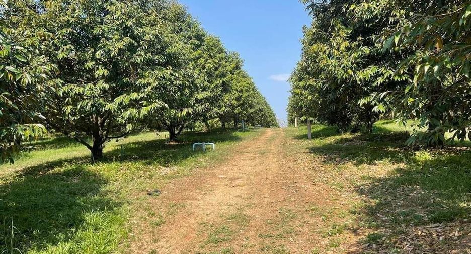 For sale land in Klaeng, Rayong