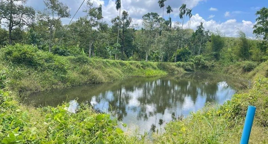 For sale land in Klaeng, Rayong