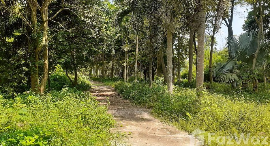 For sale land in Tha Yang, Phetchaburi