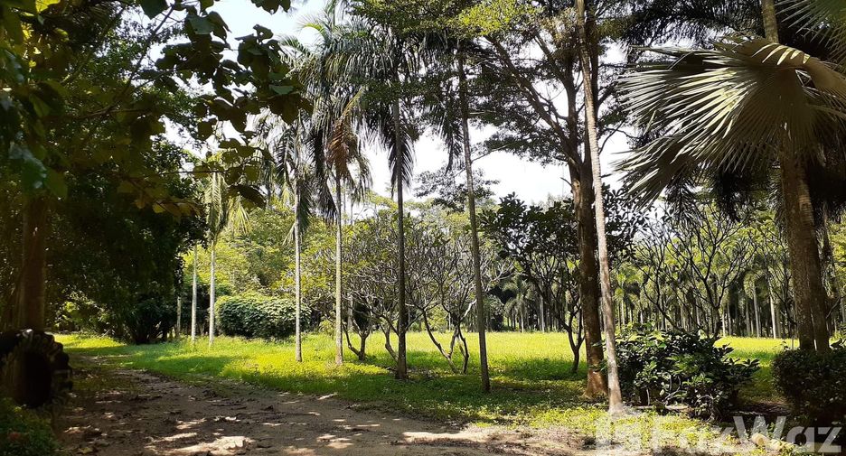 For sale land in Tha Yang, Phetchaburi