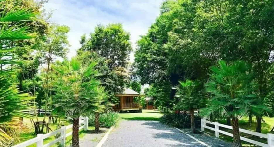 For sale land in Pak Chong, Nakhon Ratchasima