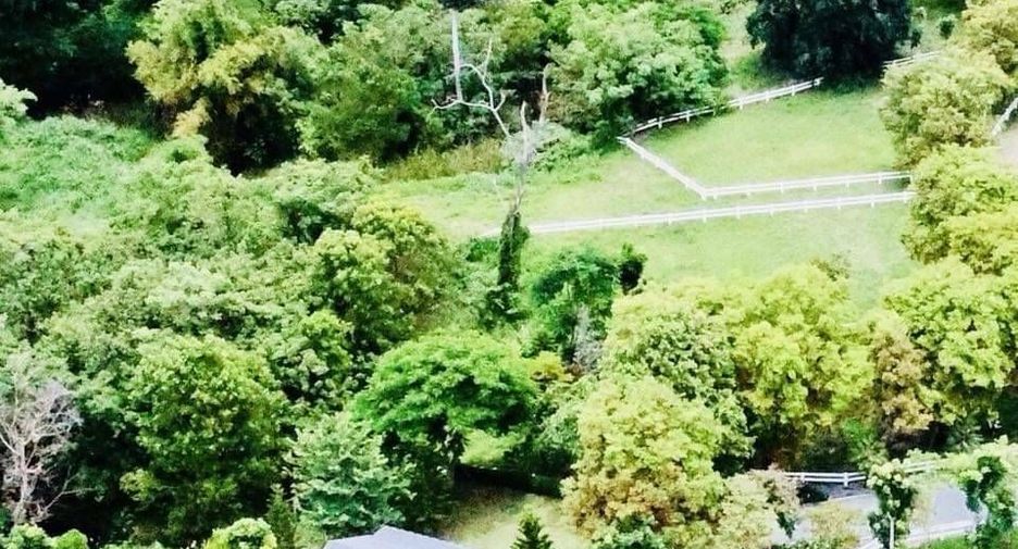 For sale land in Pak Chong, Nakhon Ratchasima