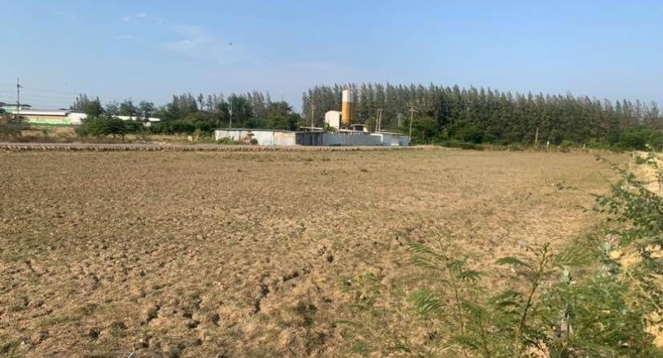 Grundstück zum Kauf in Kamphaeng Saen, Nakhon Pathom