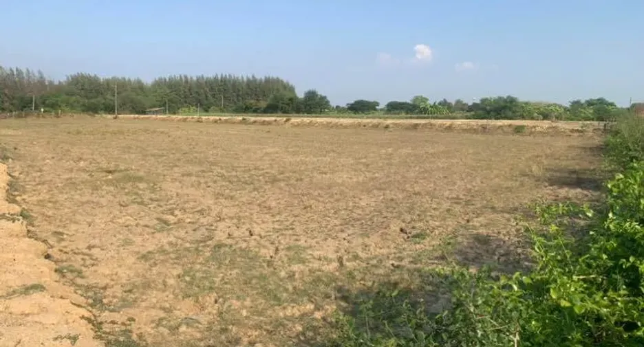 Grundstück zum Kauf in Kamphaeng Saen, Nakhon Pathom