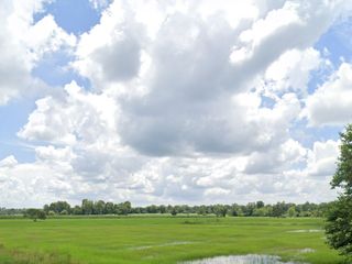 ขาย ที่ดิน ใน จักราช, นครราชสีมา