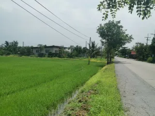 ขาย ที่ดิน ใน บางน้ำเปรี้ยว, ฉะเชิงเทรา