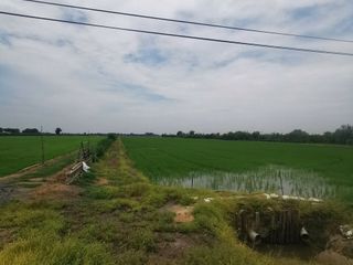 ขาย ที่ดิน ใน บางน้ำเปรี้ยว, ฉะเชิงเทรา