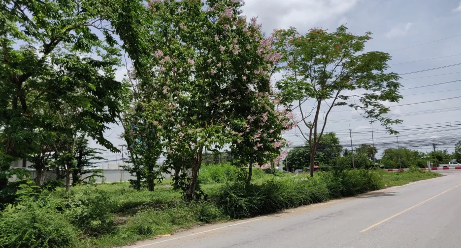 Продажа Участок в Nakhon Chai Si, Накхонпатхом