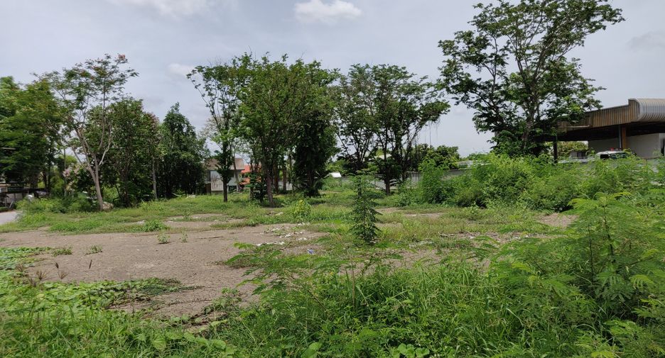 Продажа Участок в Nakhon Chai Si, Накхонпатхом