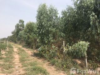 For sale land in Mueang Nakhon Ratchasima, Nakhon Ratchasima