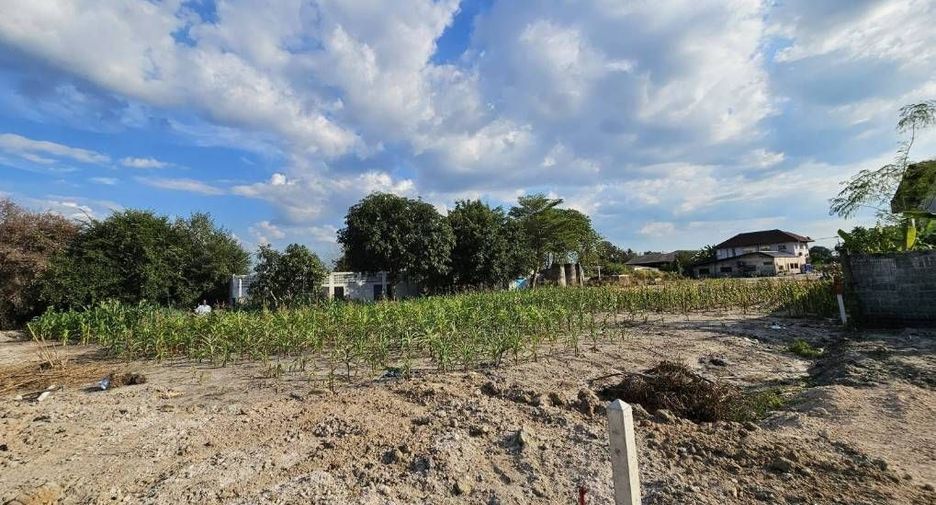For sale land in Ban Khai, Rayong