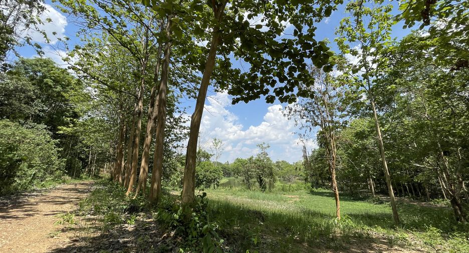 Grundstück zum Kauf in Mueang Chiang Rai, Chiang Rai