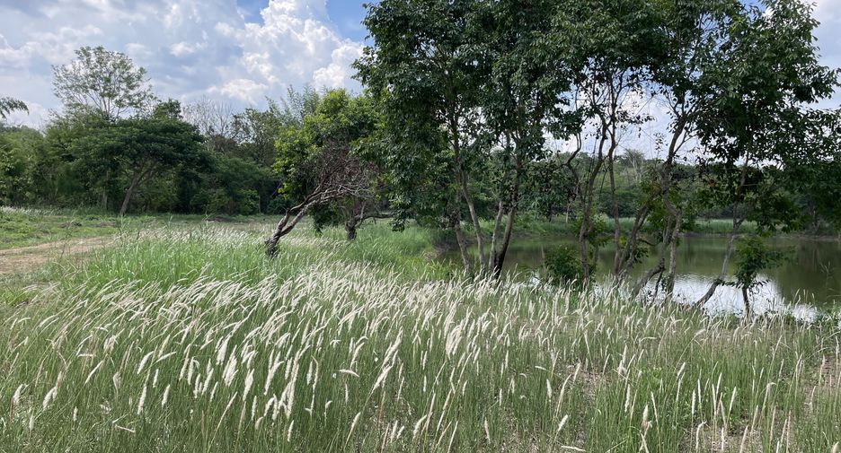 Grundstück zum Kauf in Mueang Chiang Rai, Chiang Rai