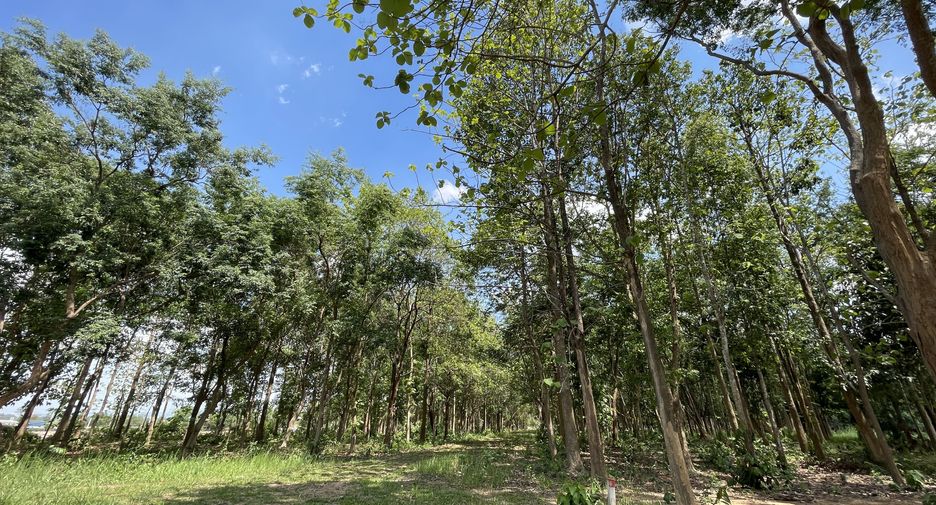 Grundstück zum Kauf in Mueang Chiang Rai, Chiang Rai