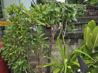 À vendre terrain à Mueang Nonthaburi, Nonthaburi
