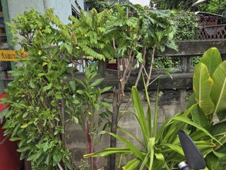 Grundstück zum Kauf in Mueang Nonthaburi, Nonthaburi