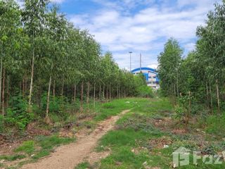 For sale land in Wang Noi, Phra Nakhon Si Ayutthaya
