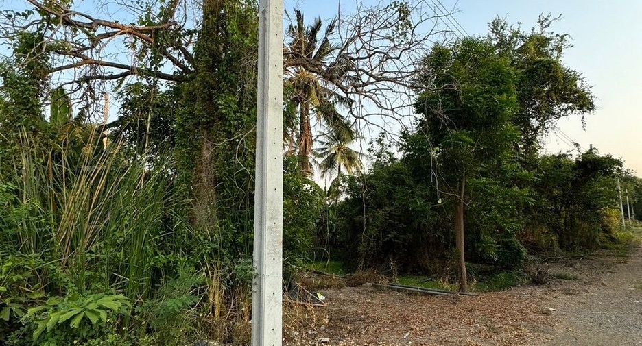 Terreno en venta en Sai Noi, Nonthaburi