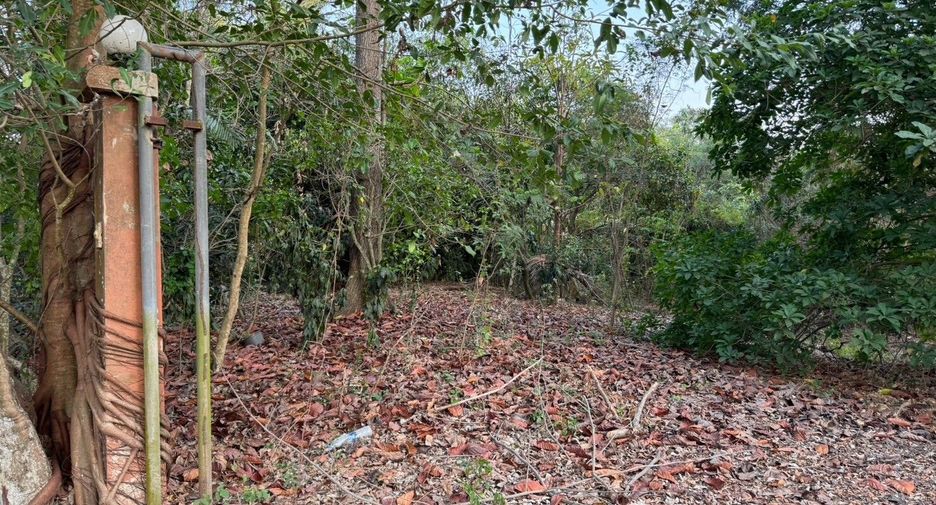 Terreno en venta en Sai Noi, Nonthaburi