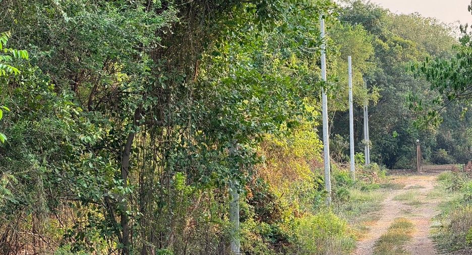 Terreno en venta en Sai Noi, Nonthaburi