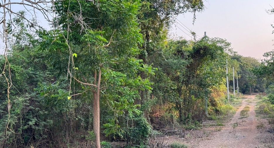 Terreno en venta en Sai Noi, Nonthaburi