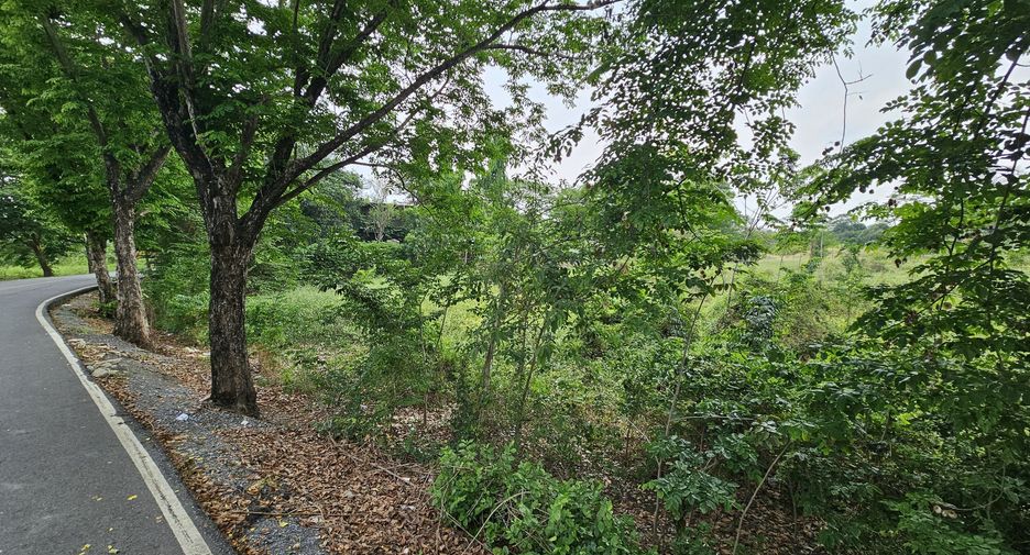 出售 土地 在 Pak Kret, Nonthaburi