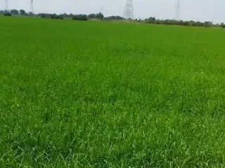 For sale land in Bang Pa-in, Phra Nakhon Si Ayutthaya