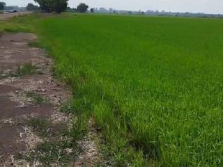 For sale land in Bang Pa-in, Phra Nakhon Si Ayutthaya