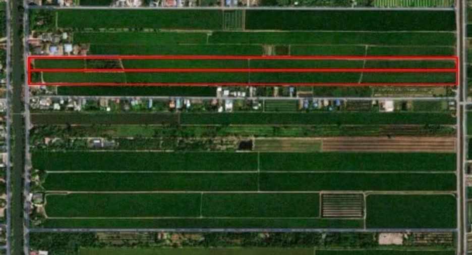 For sale land in Nong Suea, Pathum Thani