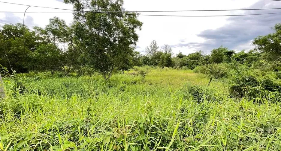 For sale land in Ban Khai, Rayong