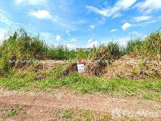 For sale land in Lat Lum Kaeo, Pathum Thani