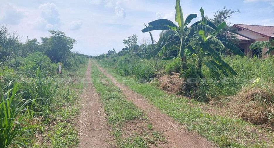 For sale land in Lat Lum Kaeo, Pathum Thani