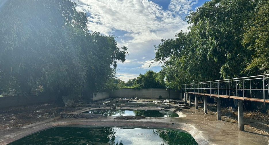 出售 土地 在 Kamphaeng Saen, Nakhon Pathom