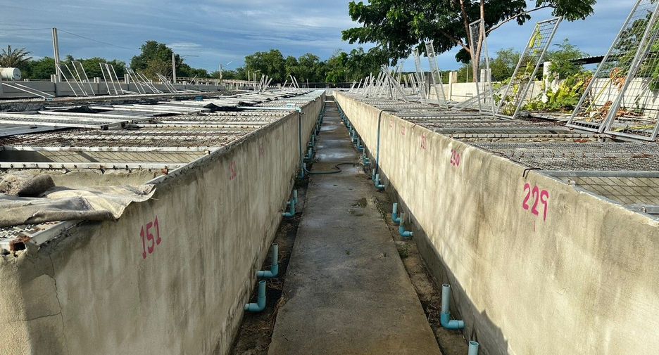 出售 土地 在 Kamphaeng Saen, Nakhon Pathom