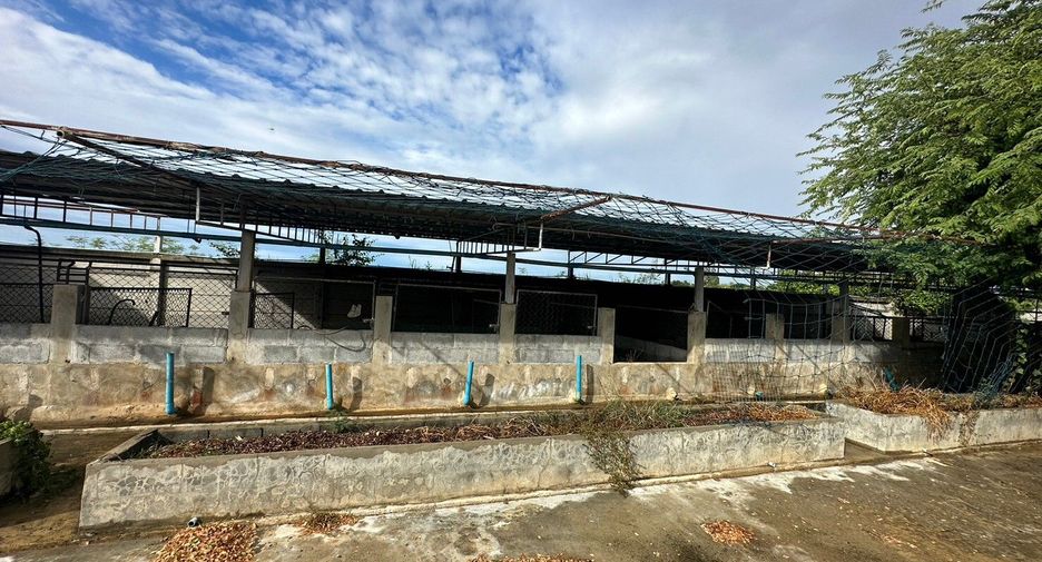 出售 土地 在 Kamphaeng Saen, Nakhon Pathom