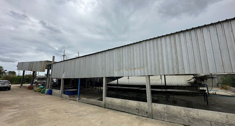 出售 土地 在 Kamphaeng Saen, Nakhon Pathom