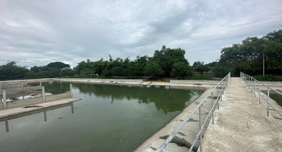 出售 土地 在 Kamphaeng Saen, Nakhon Pathom
