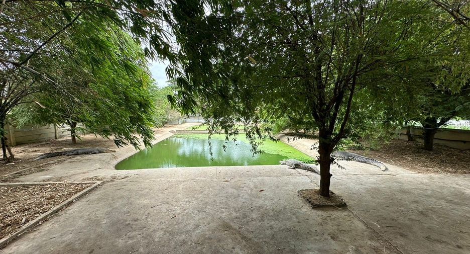 出售 土地 在 Kamphaeng Saen, Nakhon Pathom