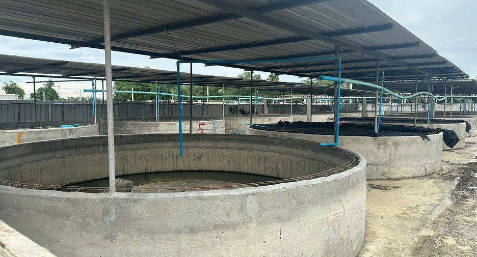 出售 土地 在 Kamphaeng Saen, Nakhon Pathom