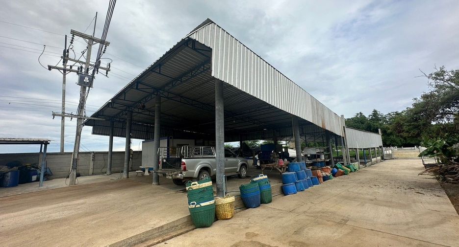 出售 土地 在 Kamphaeng Saen, Nakhon Pathom