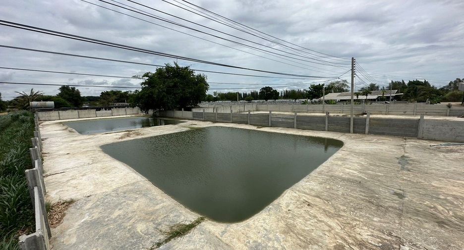 出售 土地 在 Kamphaeng Saen, Nakhon Pathom