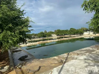 Terreno en venta en Kamphaeng Saen, Nakhon Pathom