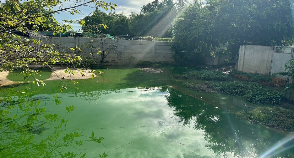 出售 土地 在 Kamphaeng Saen, Nakhon Pathom