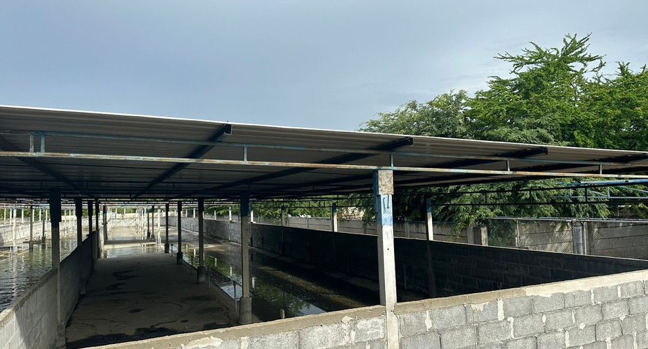 出售 土地 在 Kamphaeng Saen, Nakhon Pathom