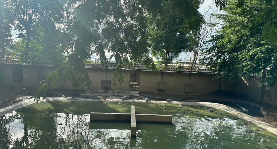 出售 土地 在 Kamphaeng Saen, Nakhon Pathom