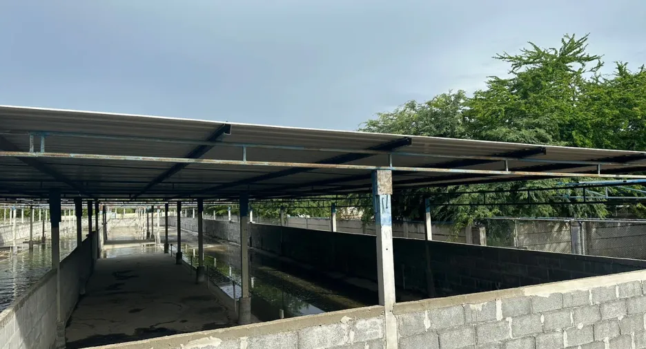 For sale land in Kamphaeng Saen, Nakhon Pathom