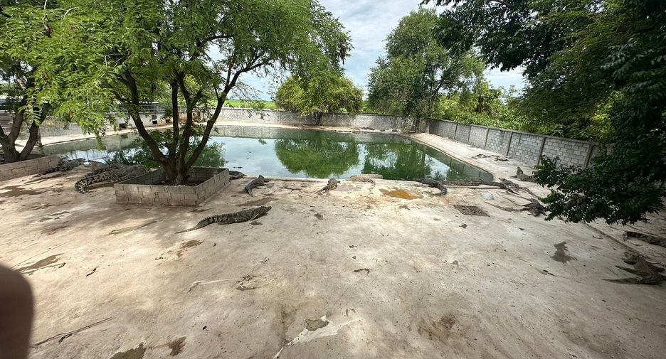 出售 土地 在 Kamphaeng Saen, Nakhon Pathom