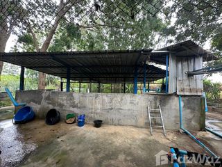 Terreno en venta en Kamphaeng Saen, Nakhon Pathom