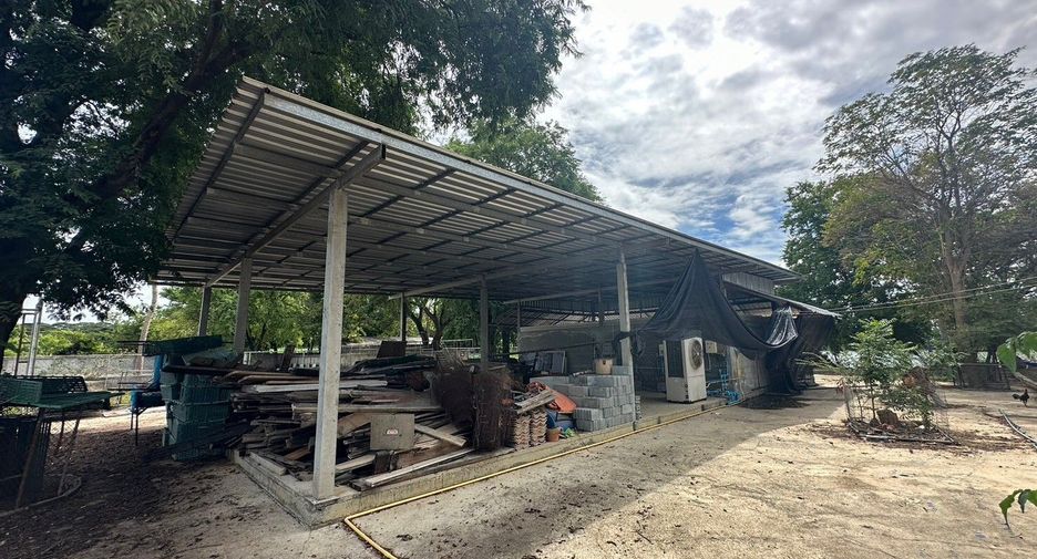 出售 土地 在 Kamphaeng Saen, Nakhon Pathom