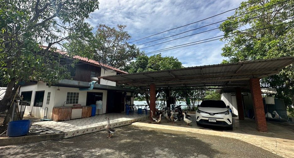出售 土地 在 Kamphaeng Saen, Nakhon Pathom